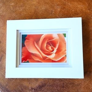 Original Photograph Perfect For Mothers Day!
